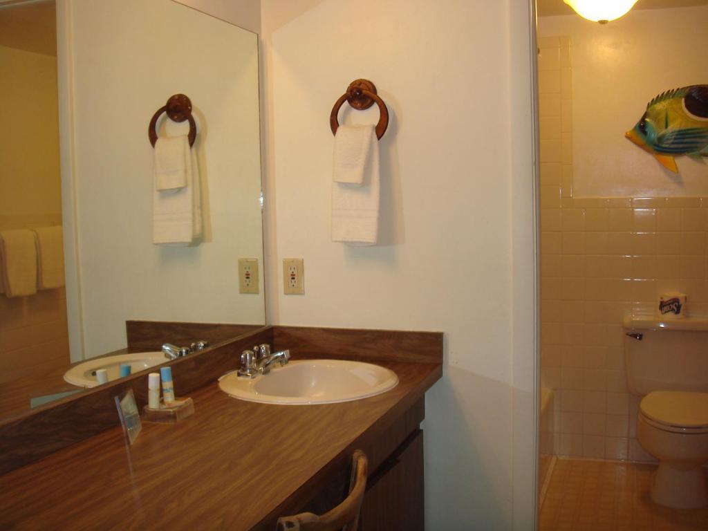 Beach Shell Inn Fort Myers Beach Ruang foto